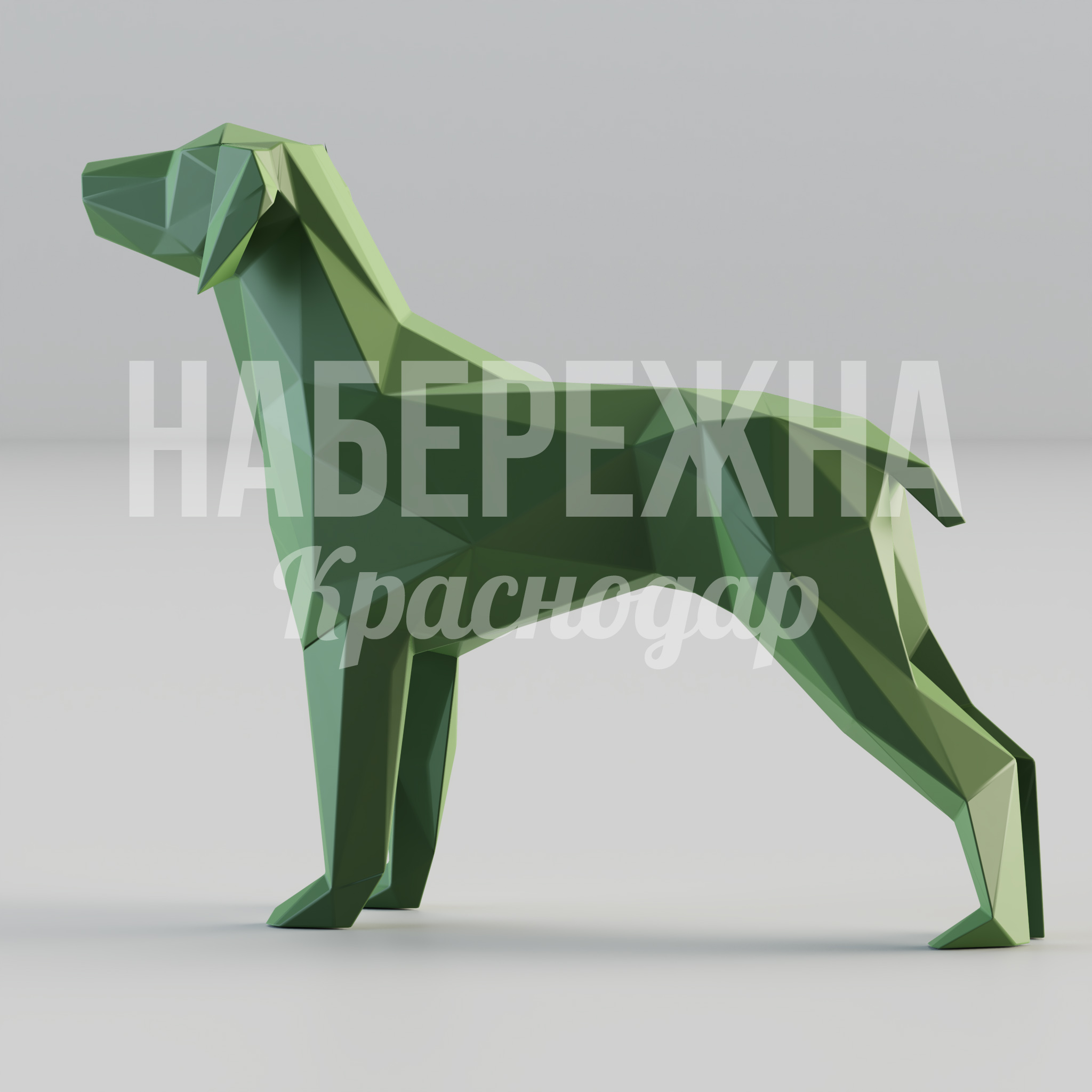 Собака Afpa - фото 2