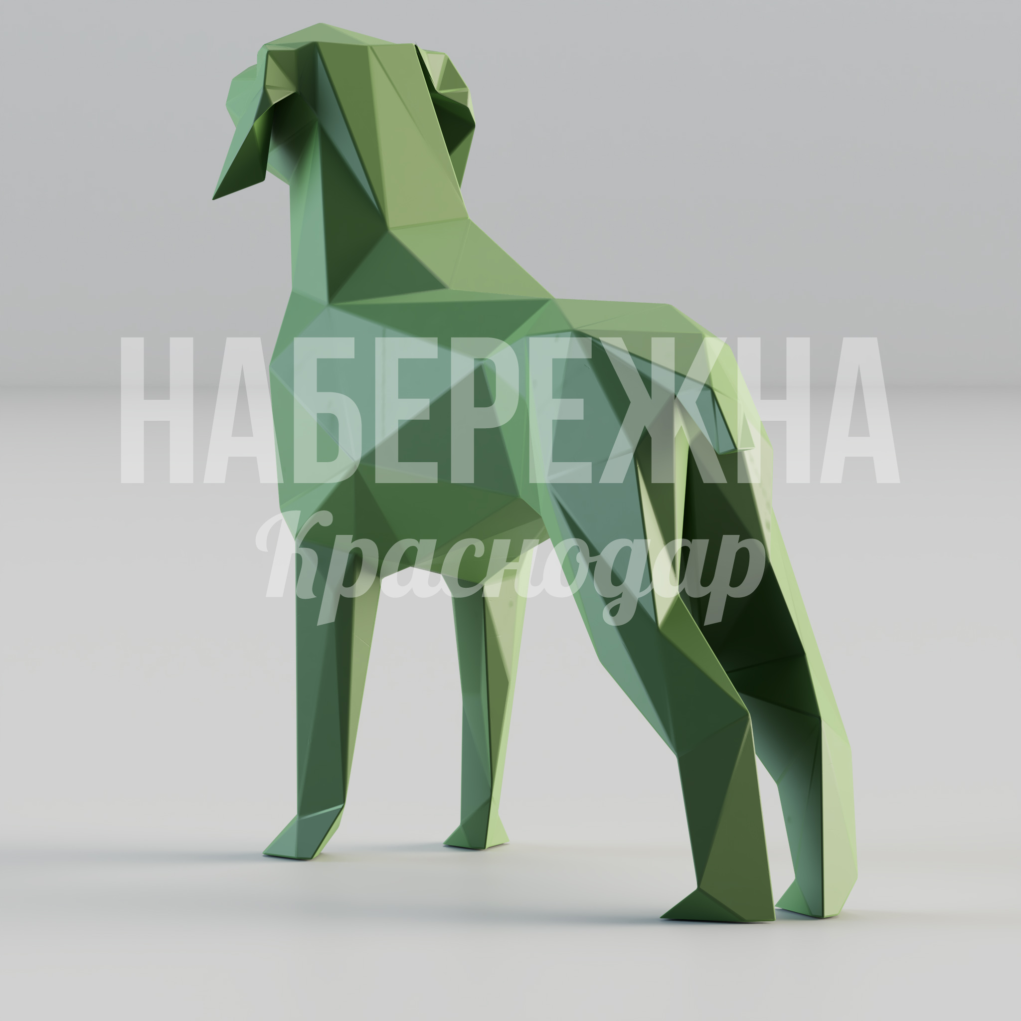 Собака Afpa - фото 3