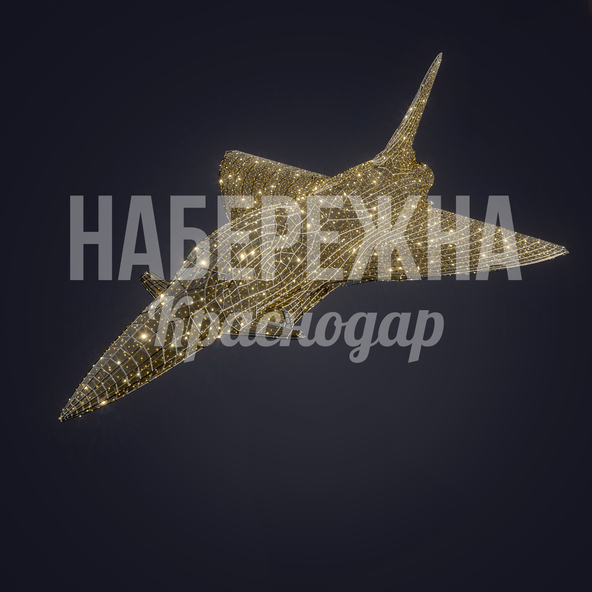 Самолет Damgi - фото 2