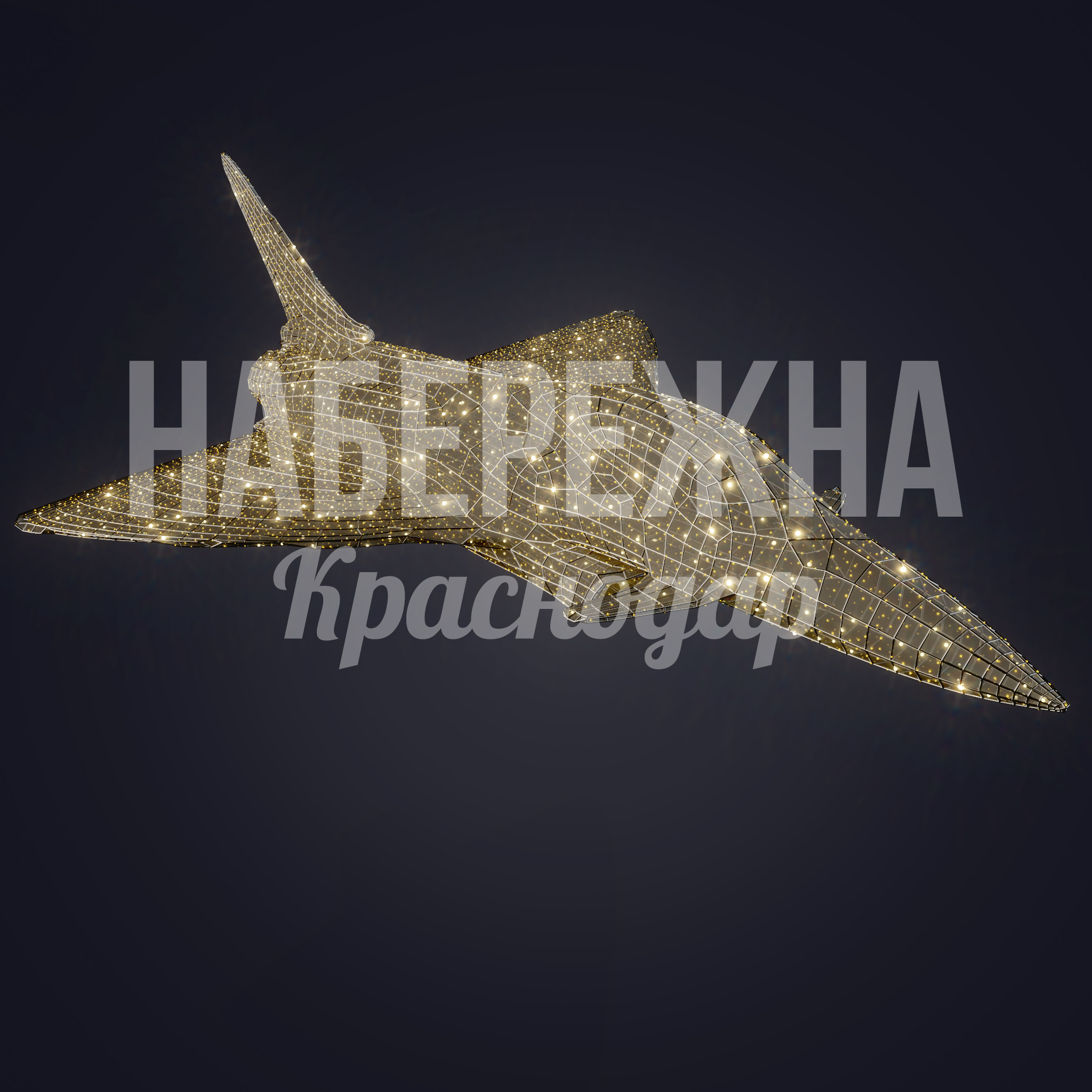 Самолет Damgi