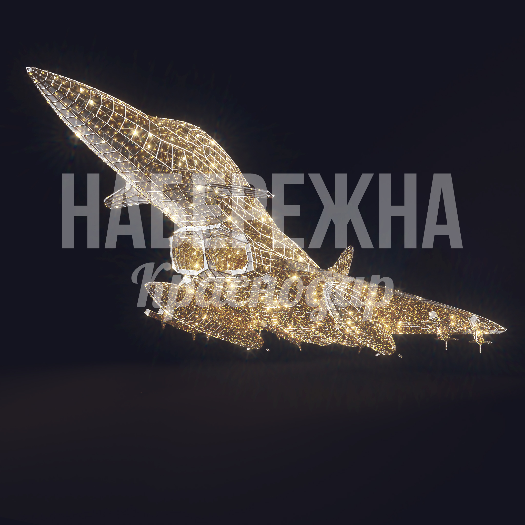 Самолет Damgi - фото 3