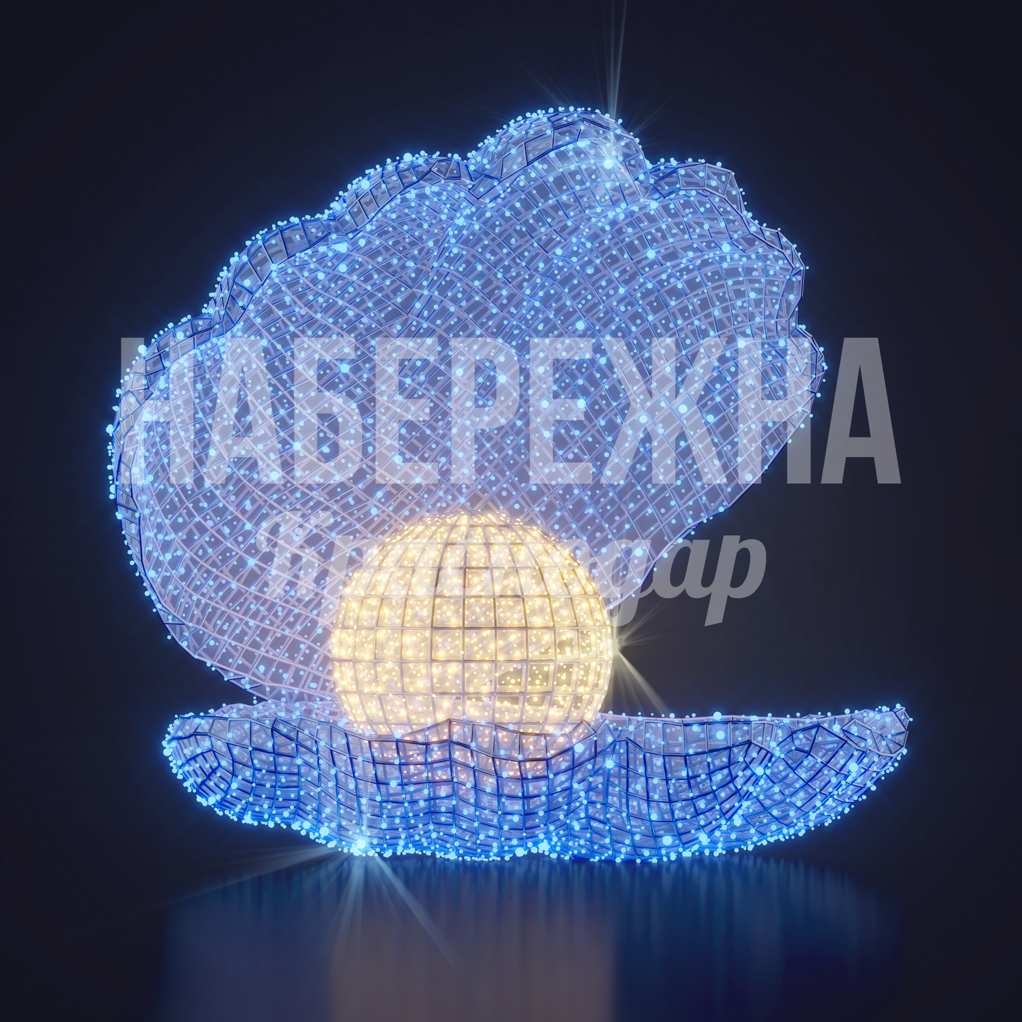 Ракушка Cöomye с жемчужиной