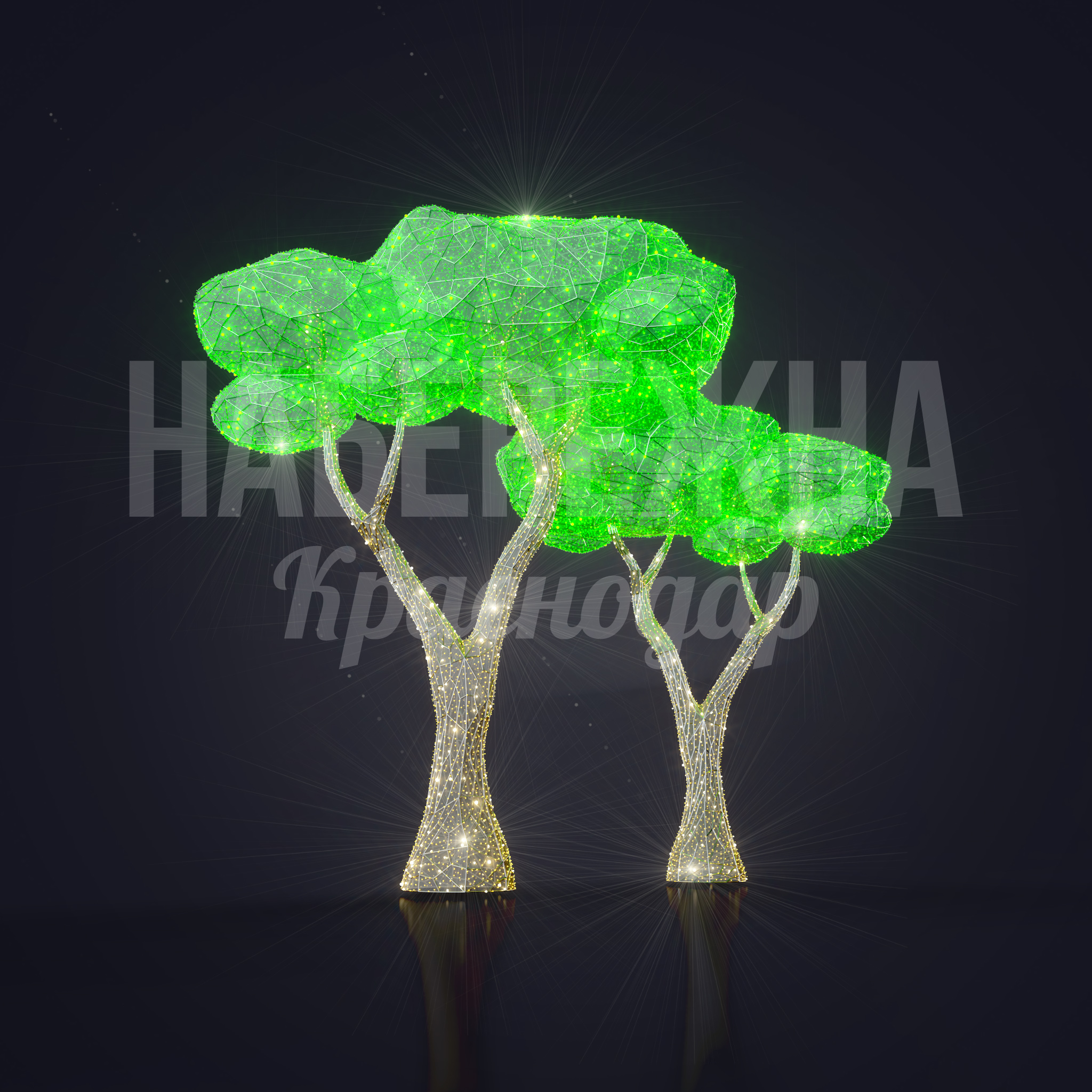 Дерево Cenga - фото 1