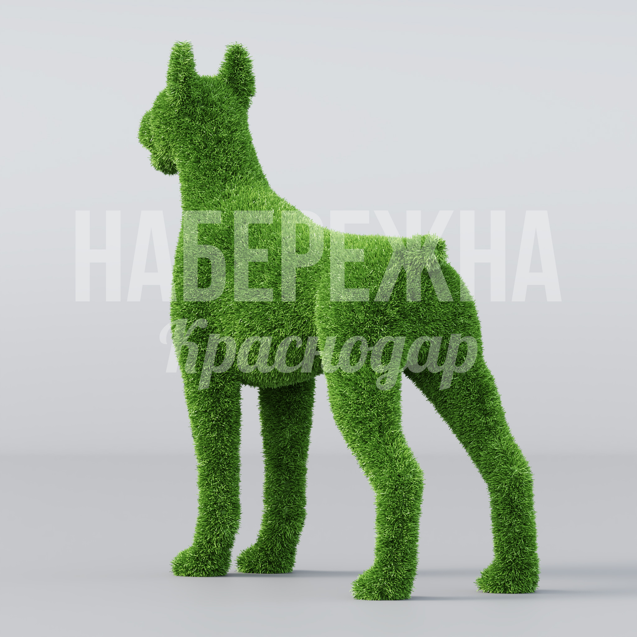 Собака Öbso - заказать, Животные, Искусственная трава