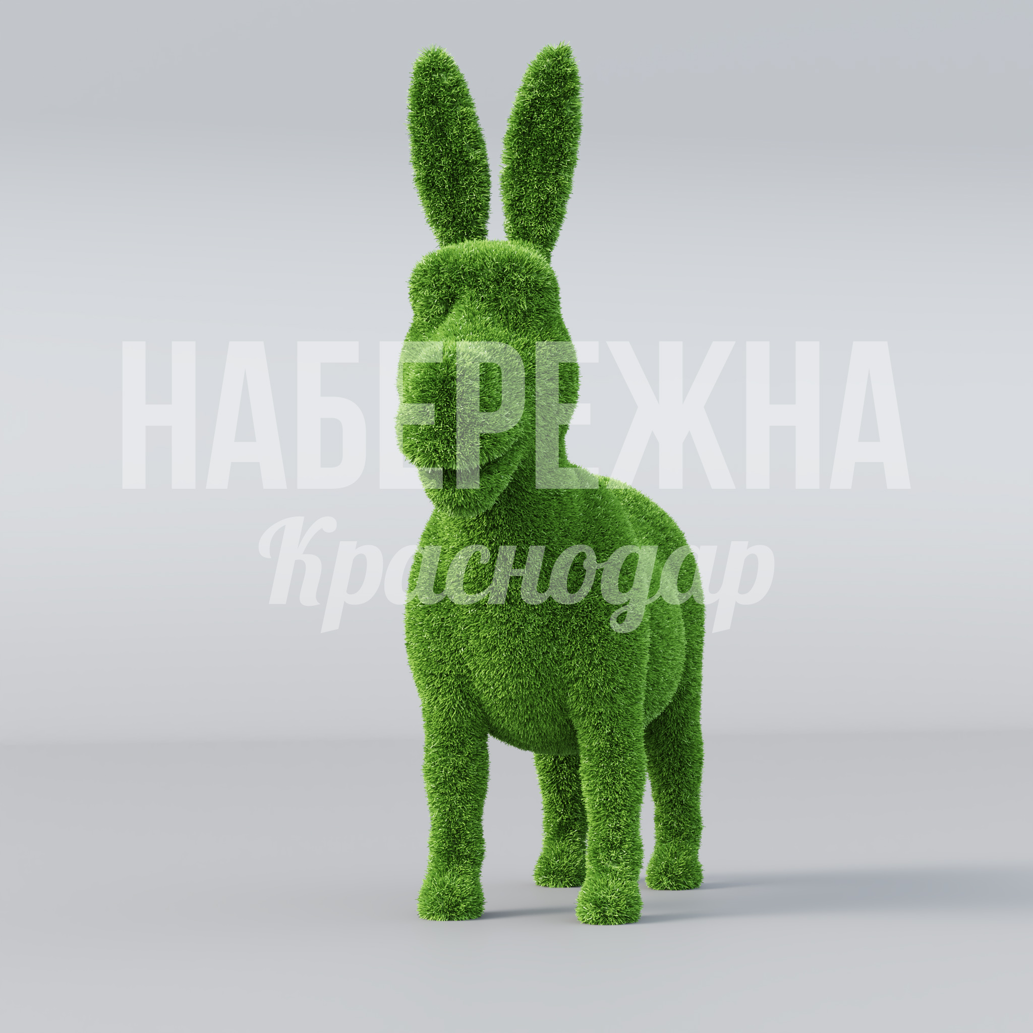 Ослик Cacvu - фото 2