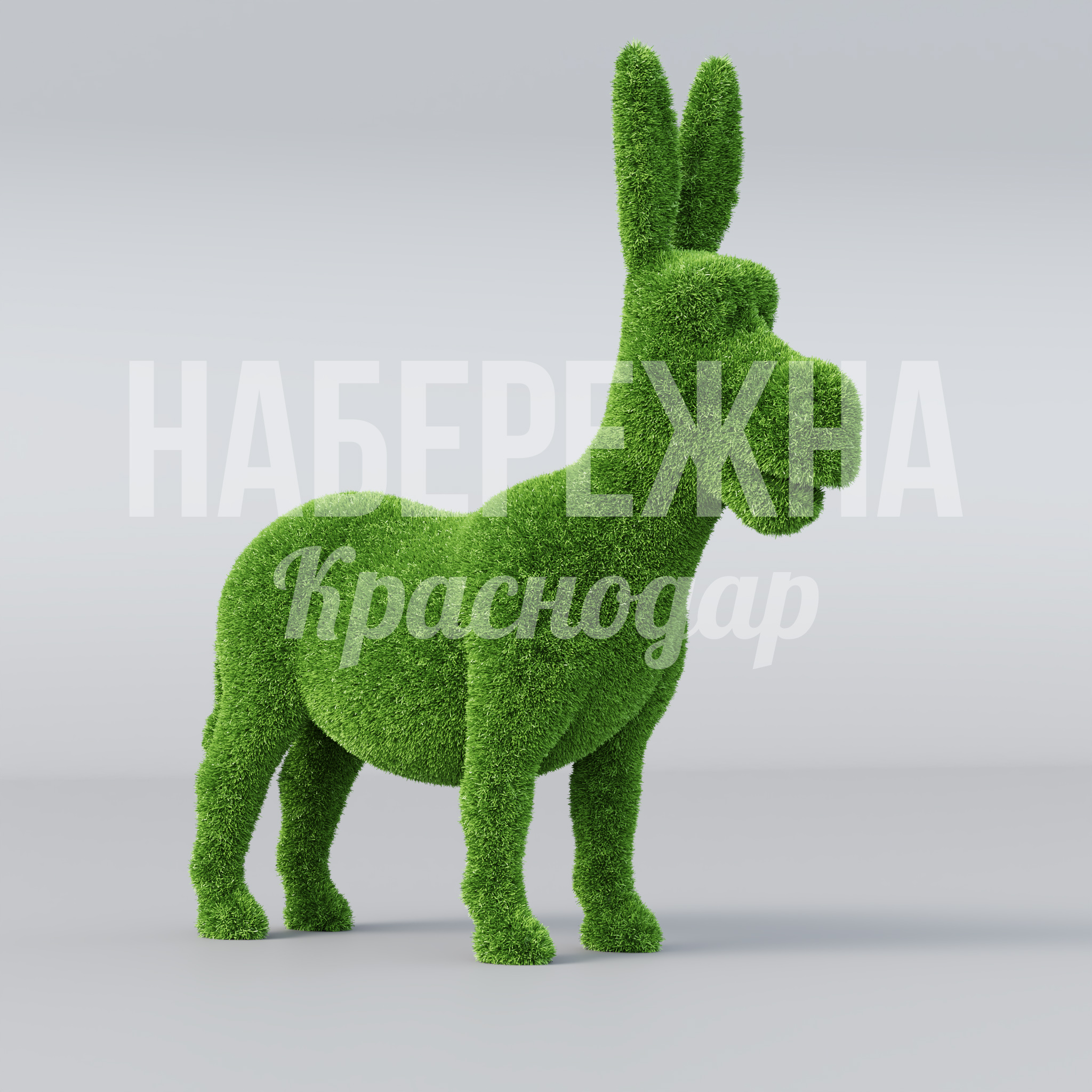 Ослик Cacvu - фото 1