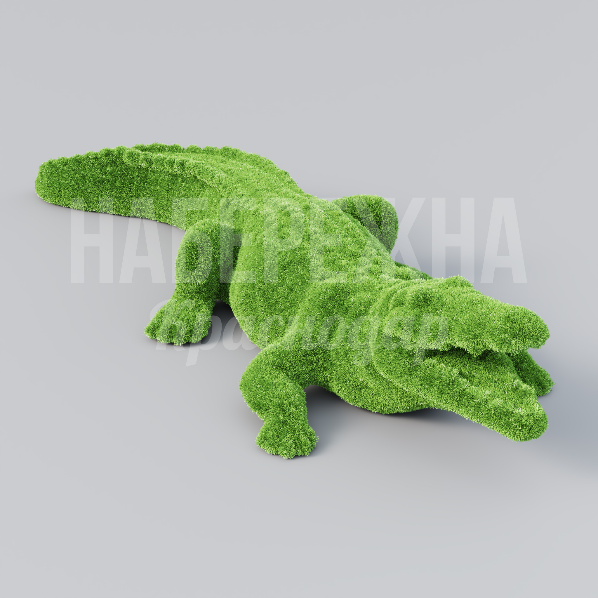 Крокодил Tiis - фото 1