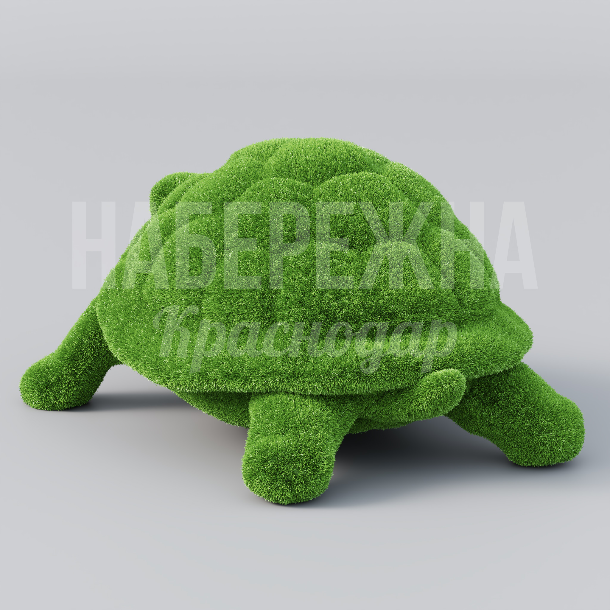 Черепаха Hafa - фото 3