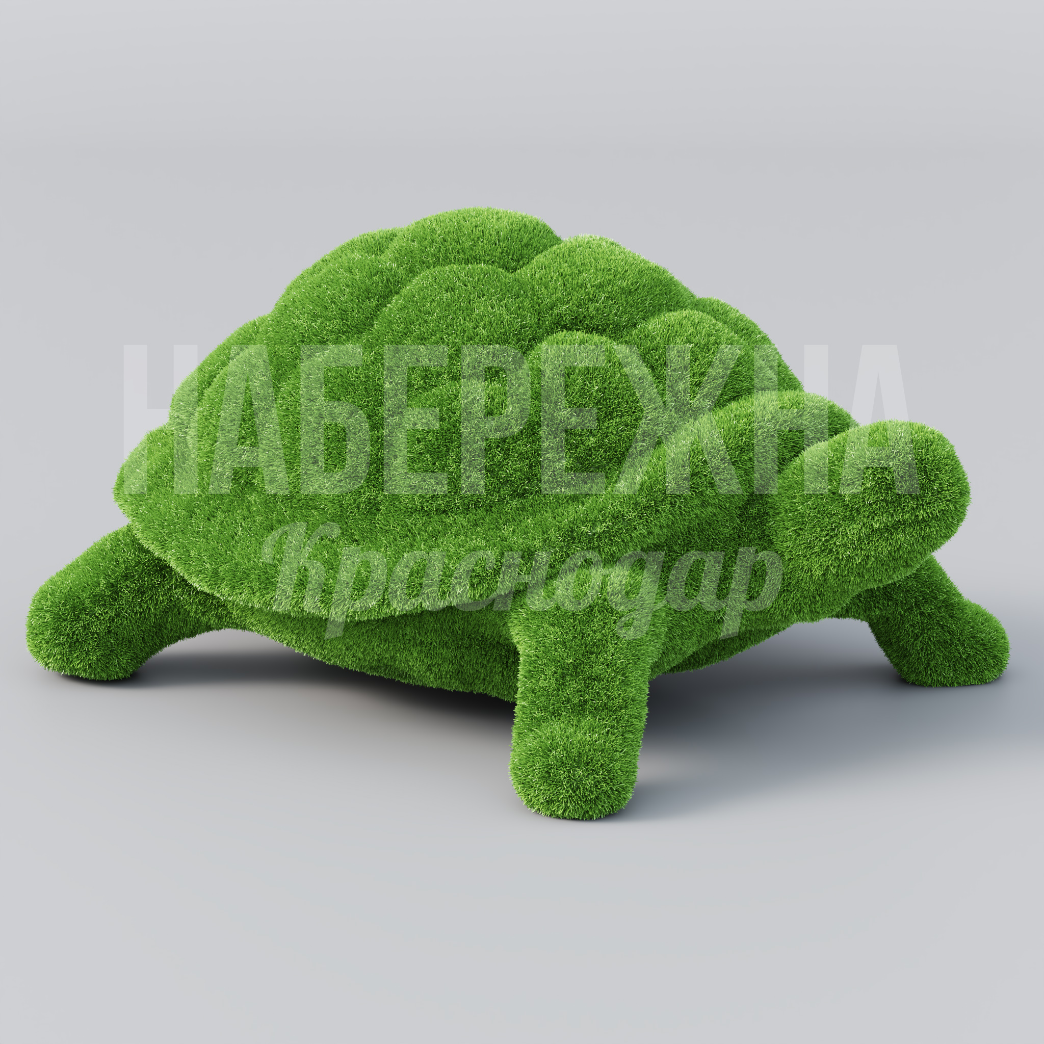 Черепаха Hafa