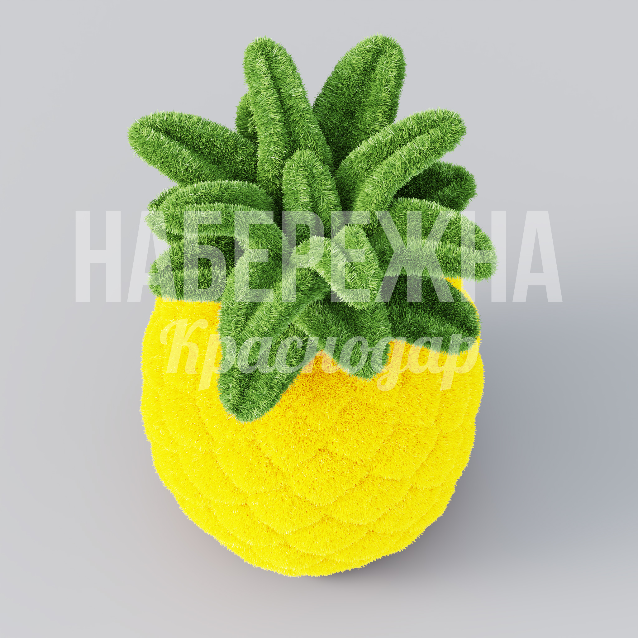 Ананас Gaöl - фото 3