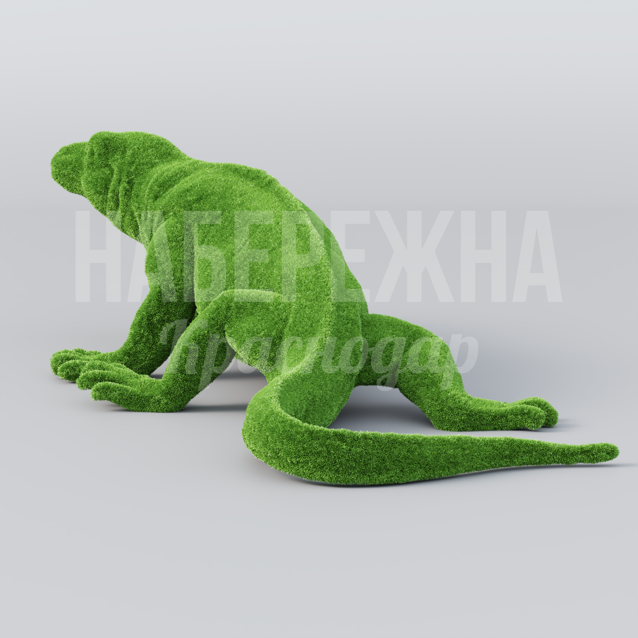 Варан Aspisyes - фото 3