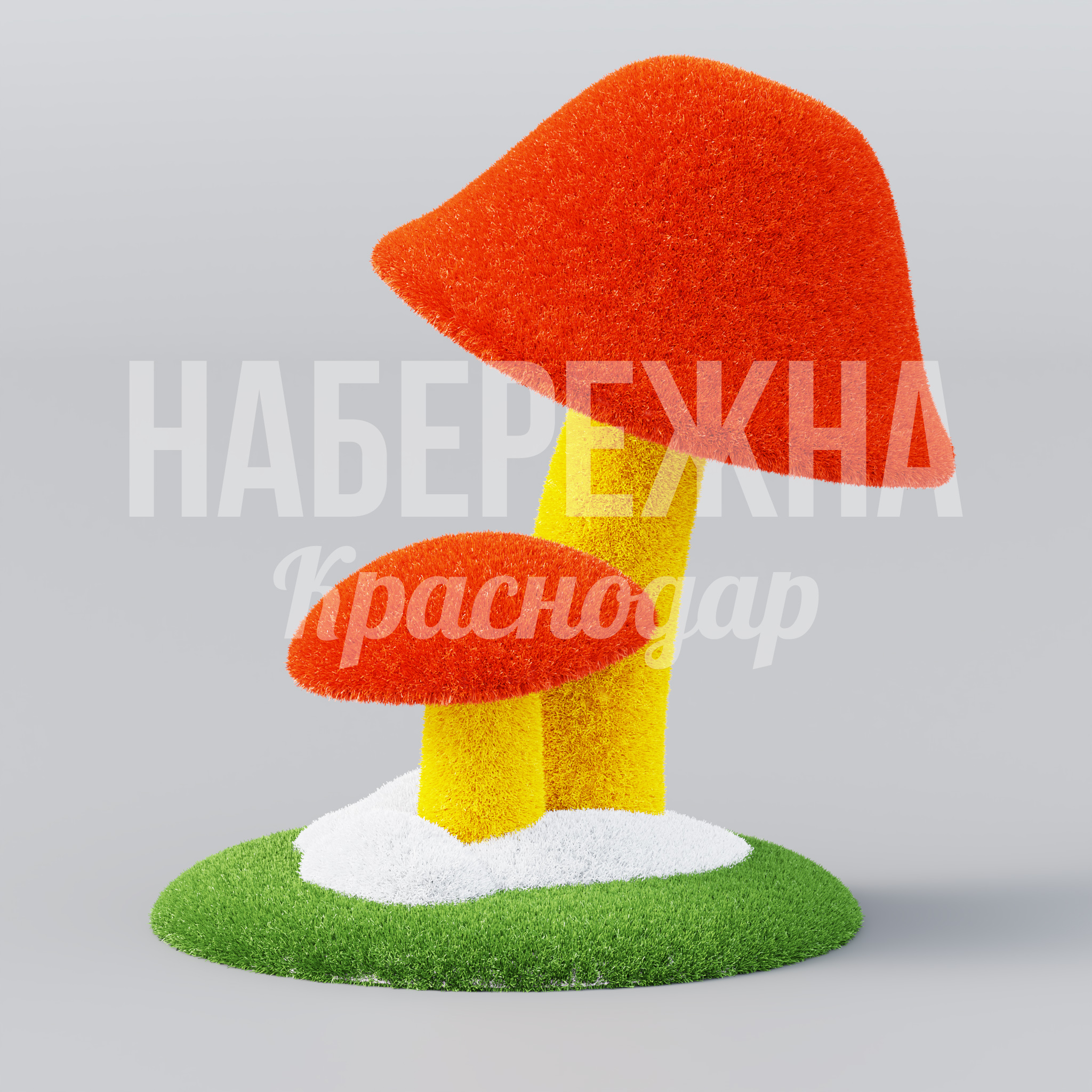 Грибы Pekbi - фото 2