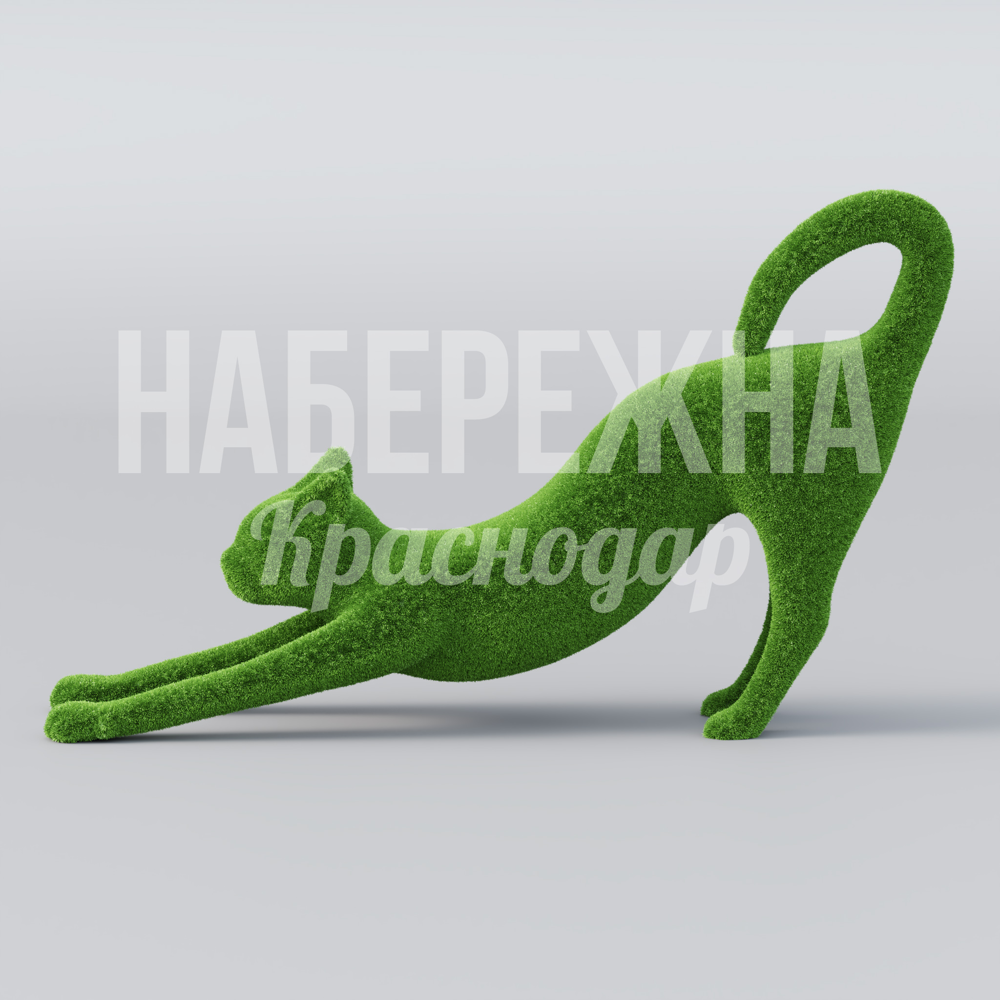 Котик Amka - фото 2