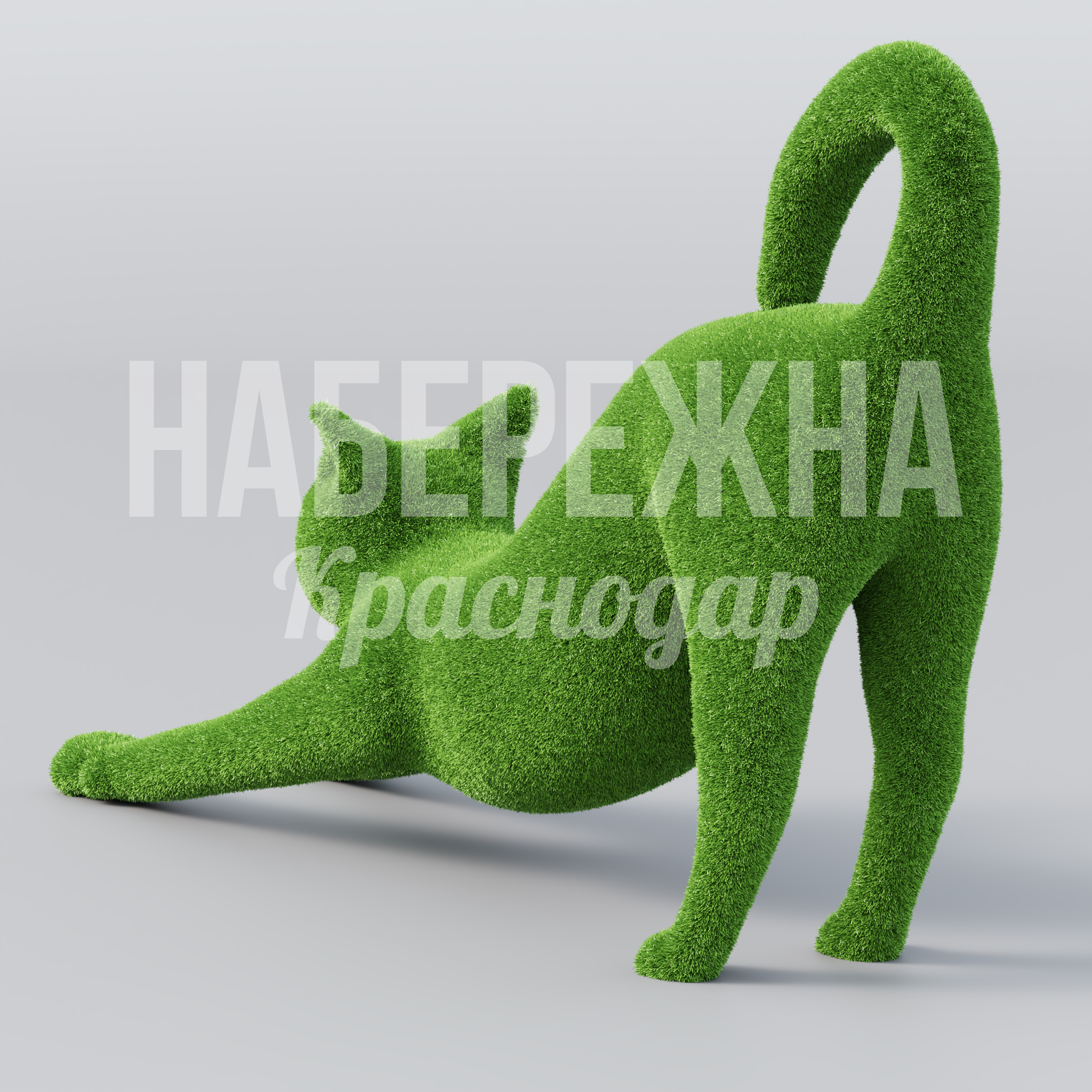 Котик Amka - фото 3