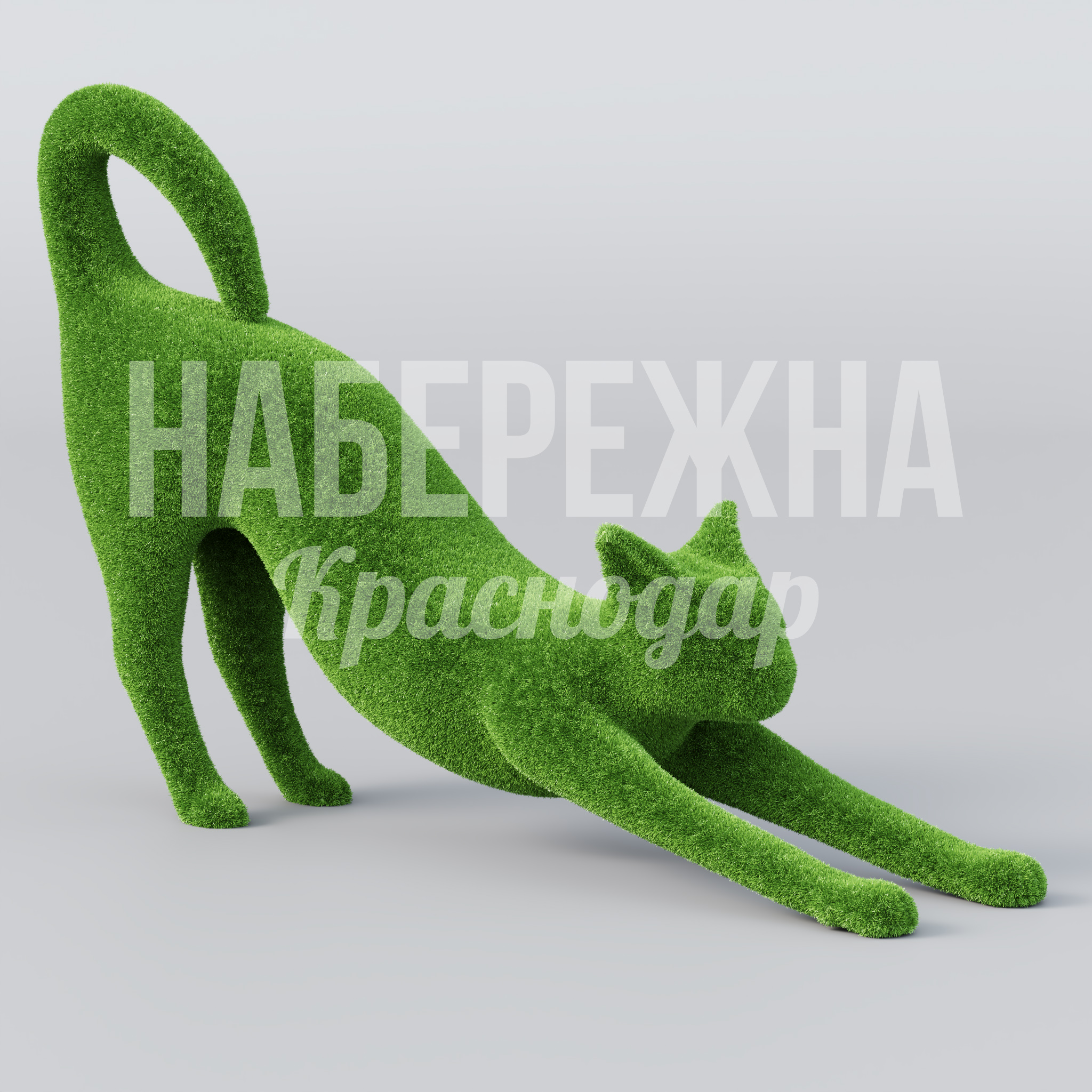 Котик Amka - фото 1