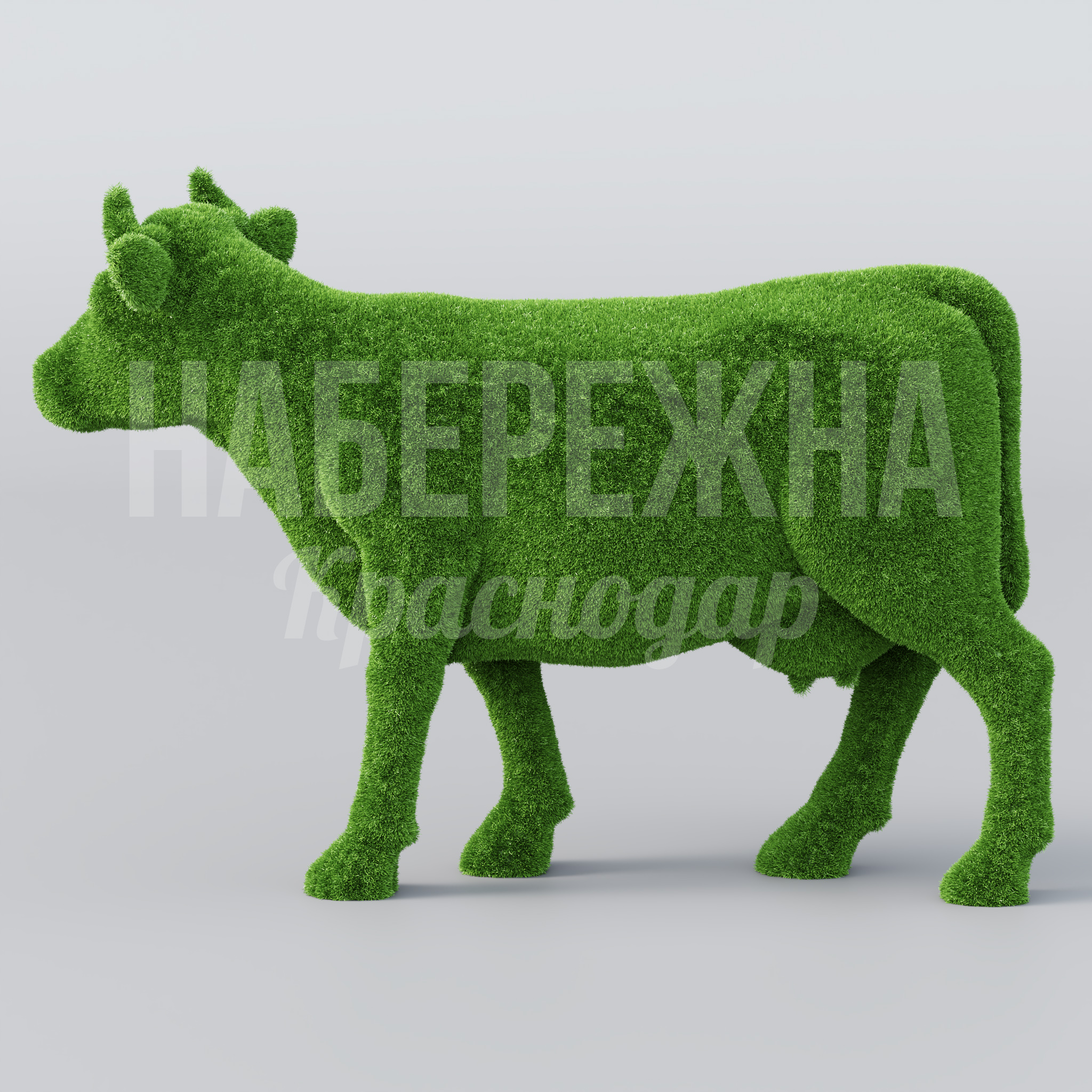 Корова Önpu - фото 2