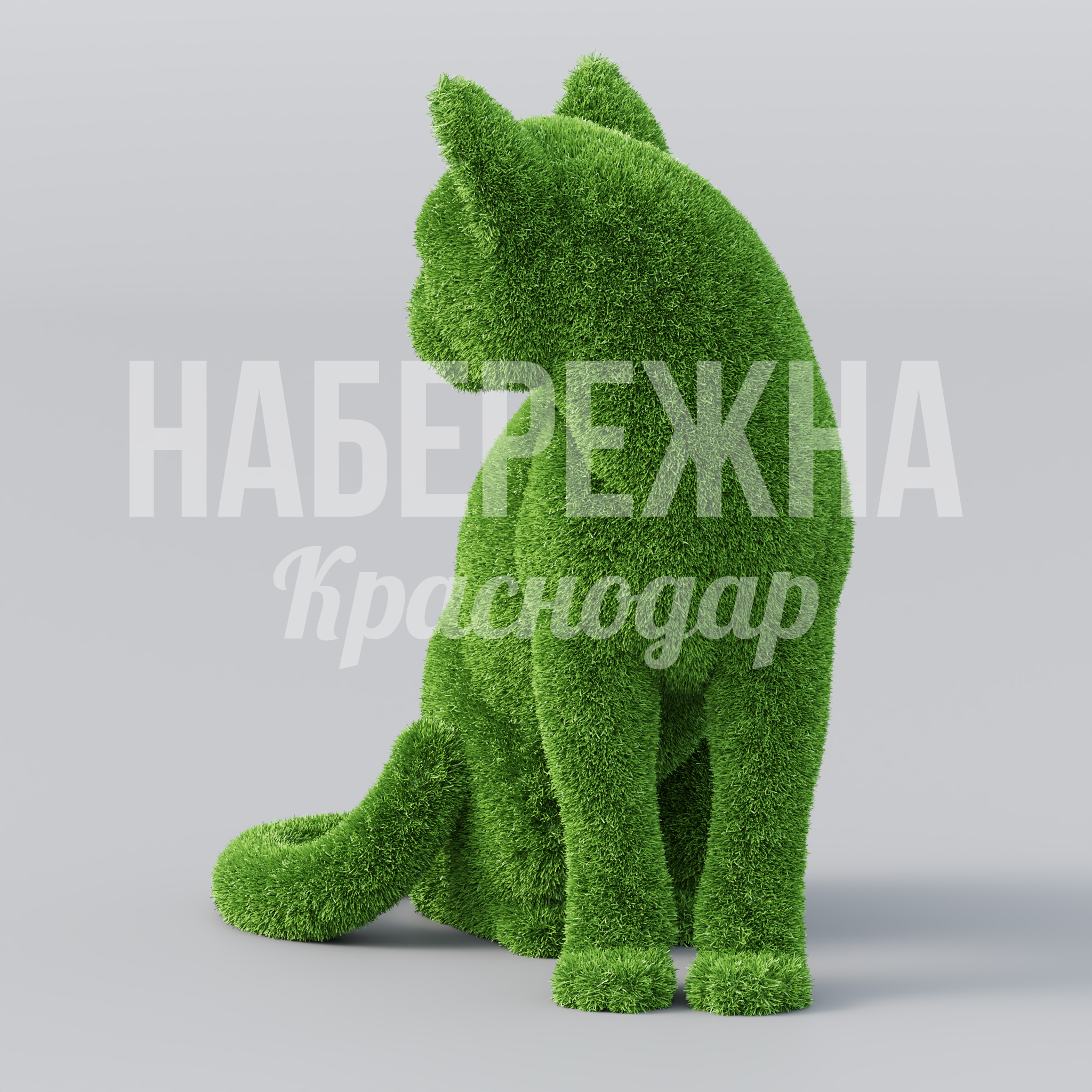 Кот Maev - фото 2