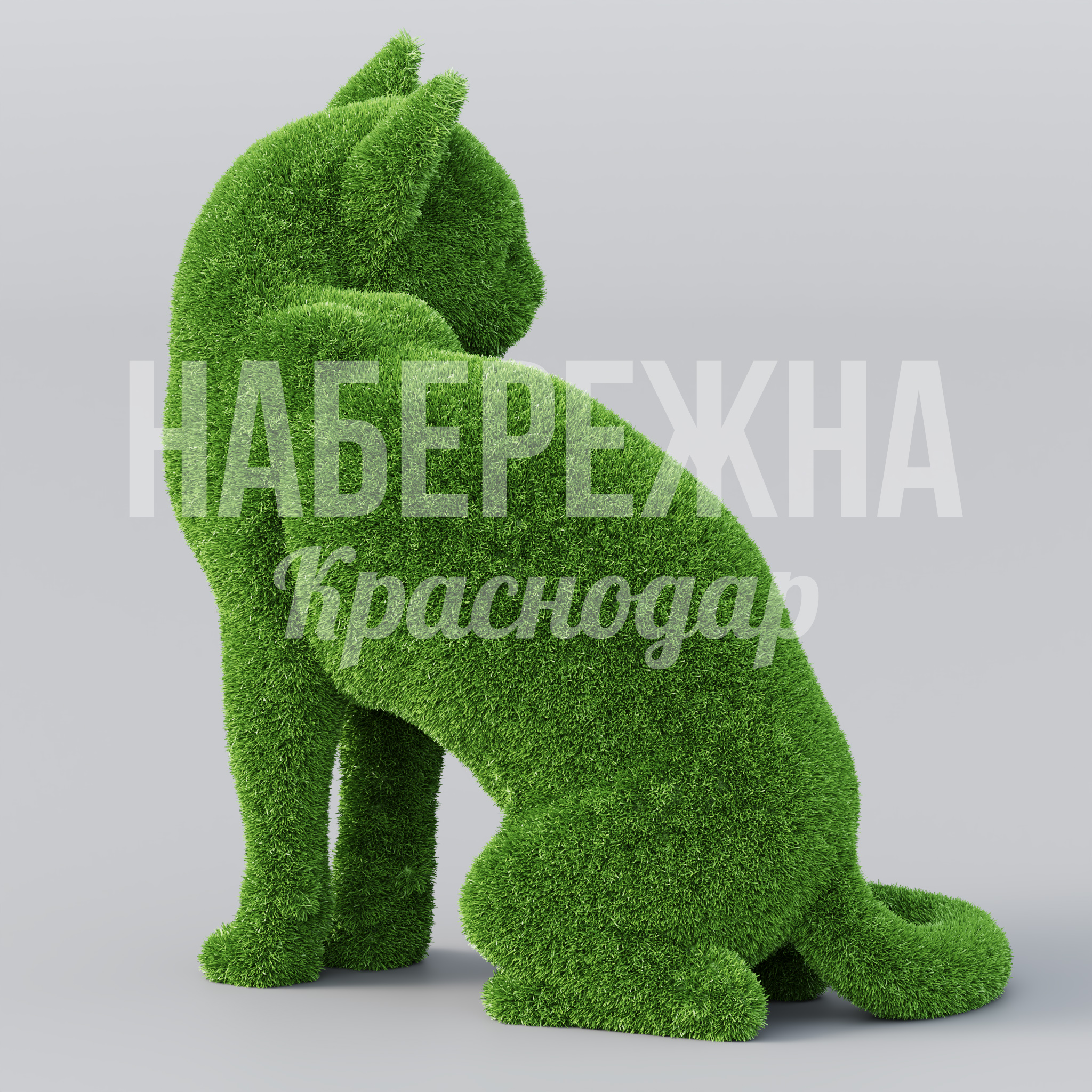 Кот Maev - фото 3