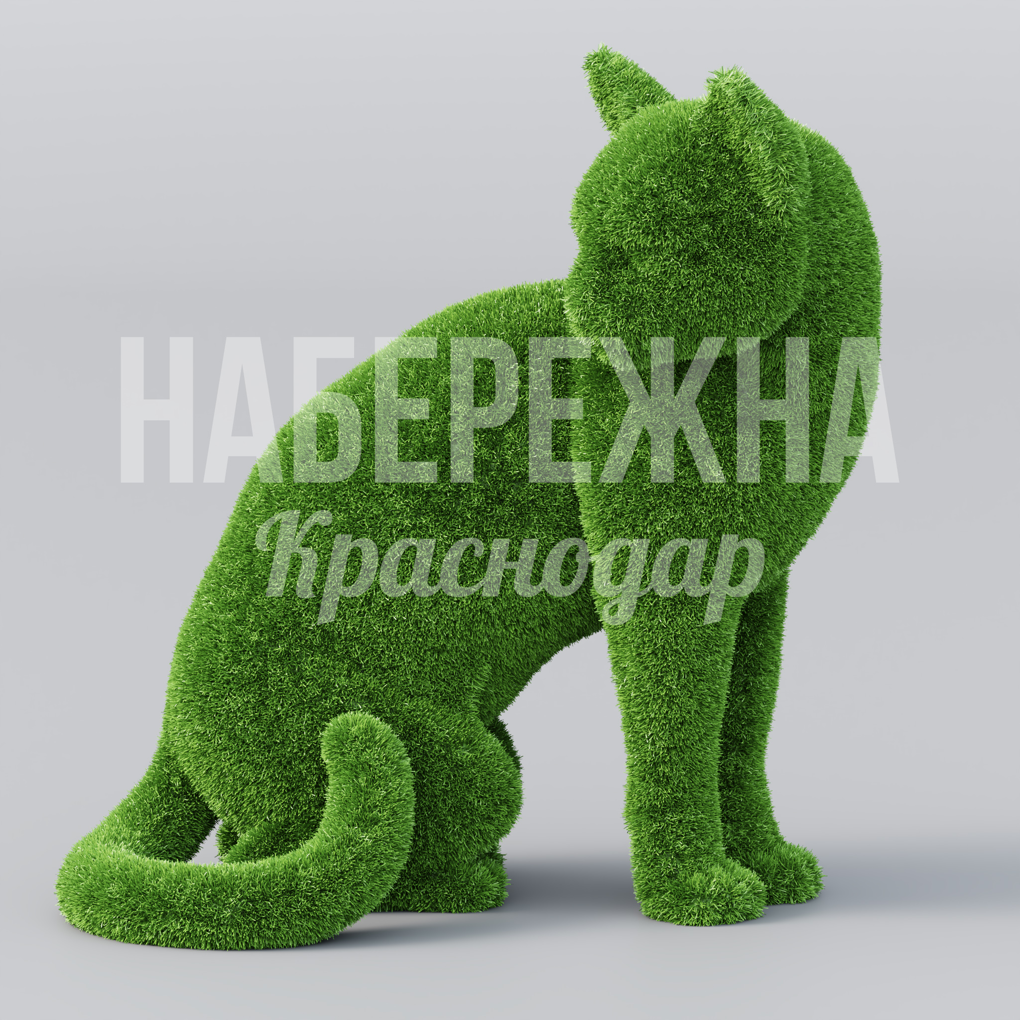 Кот Maev - фото 1