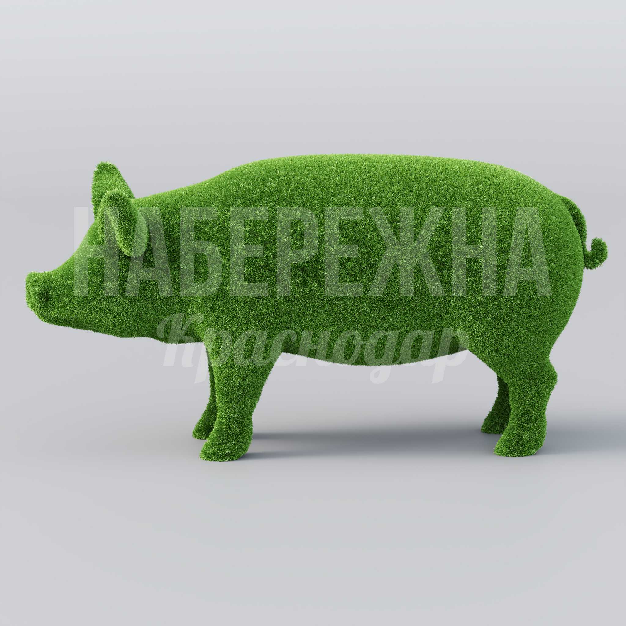 Свинья Tubfa - фото 2