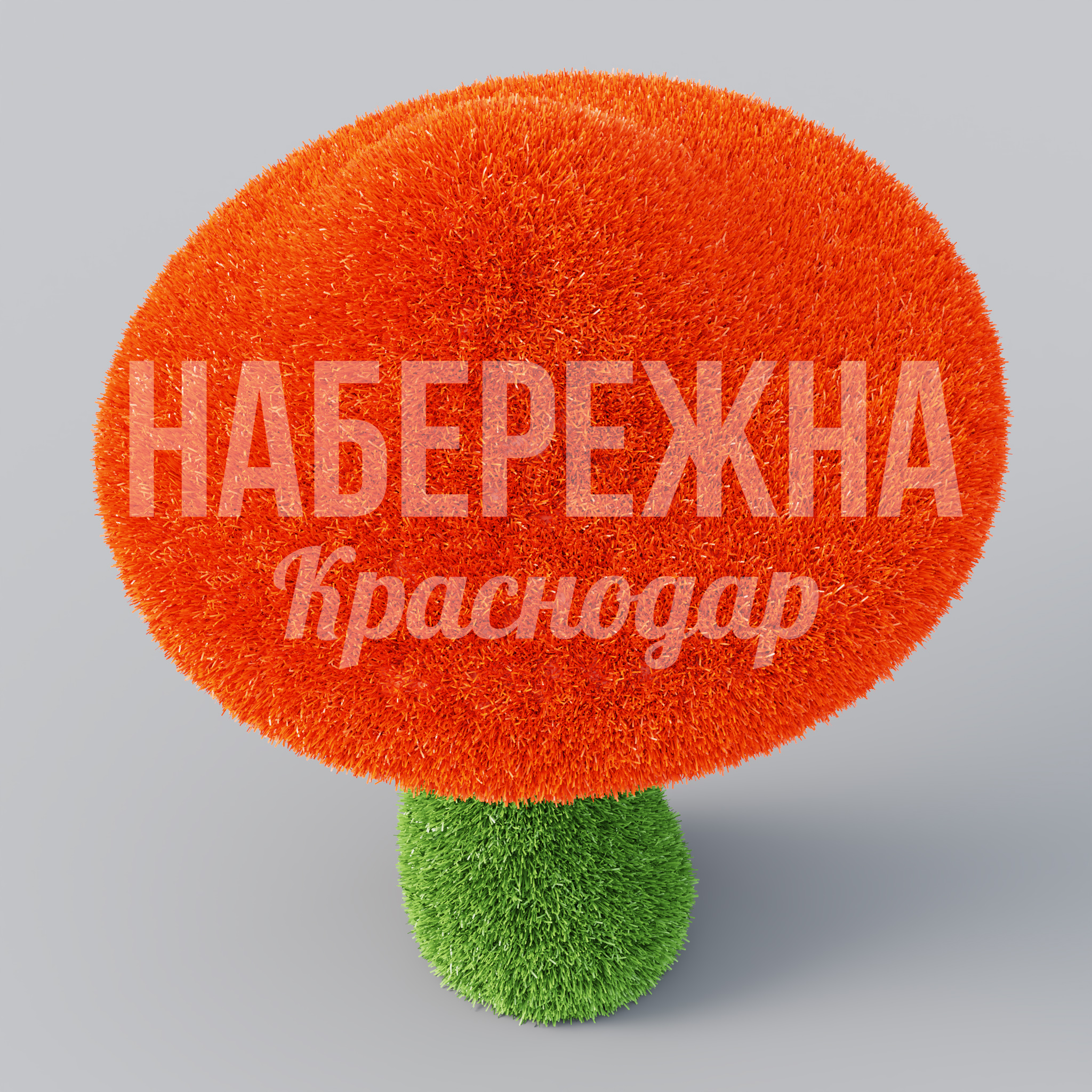 Гриб Yarcutko - фото 3