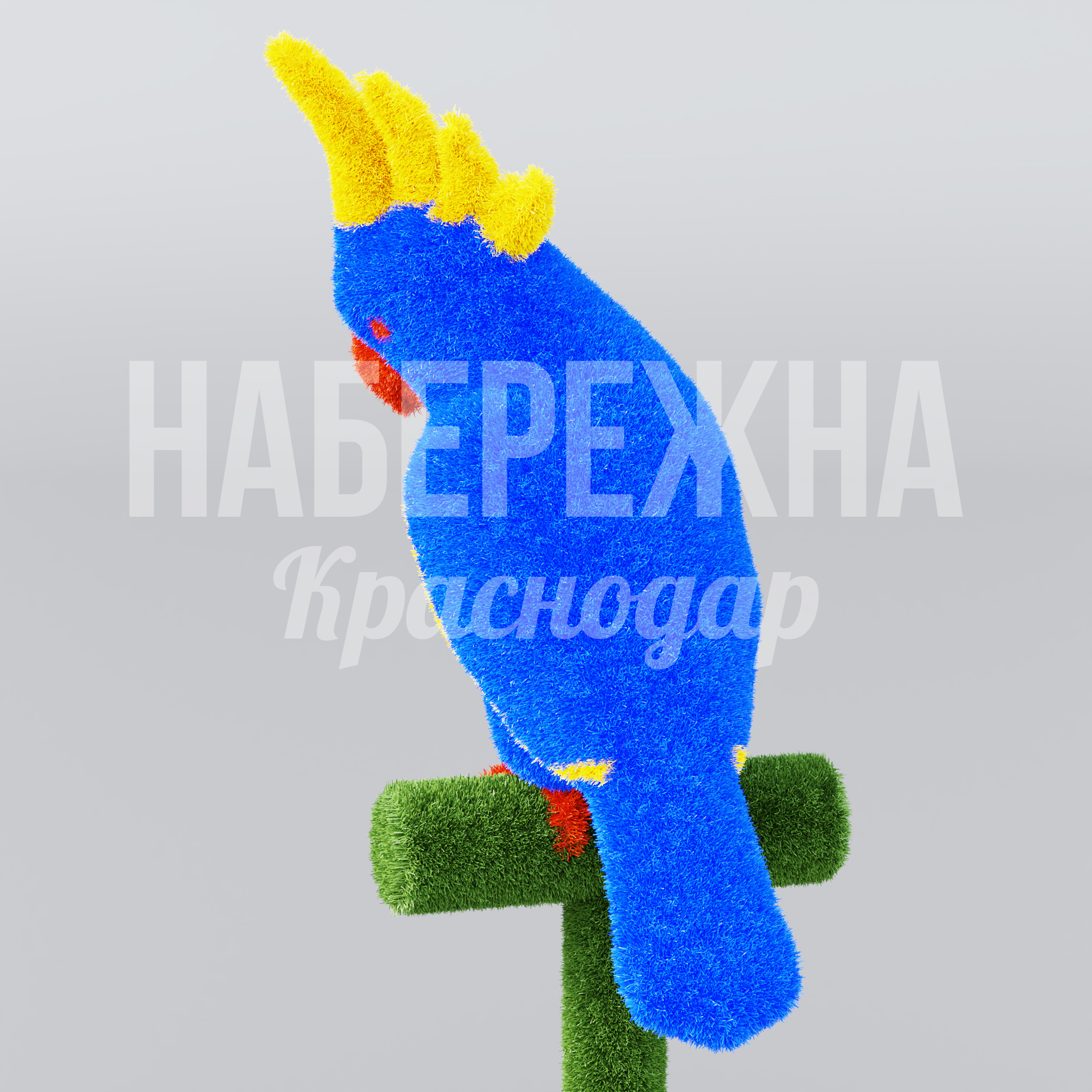 Попугай Öifsom - фото 3