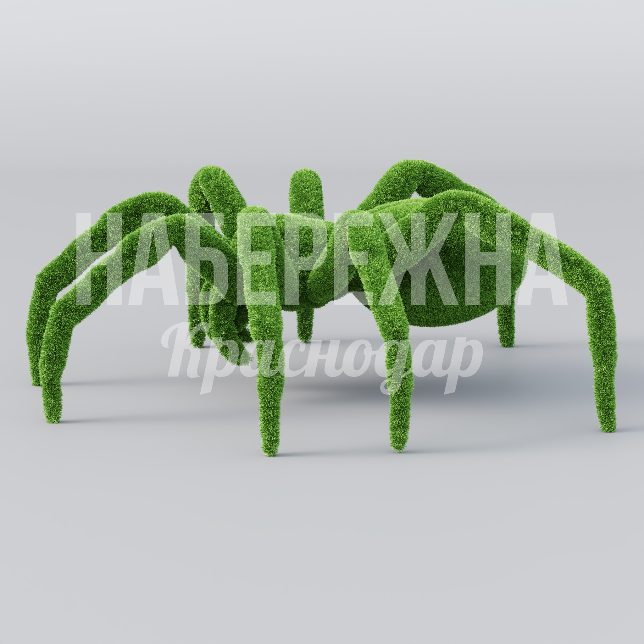 Паук Mokil - фото 2