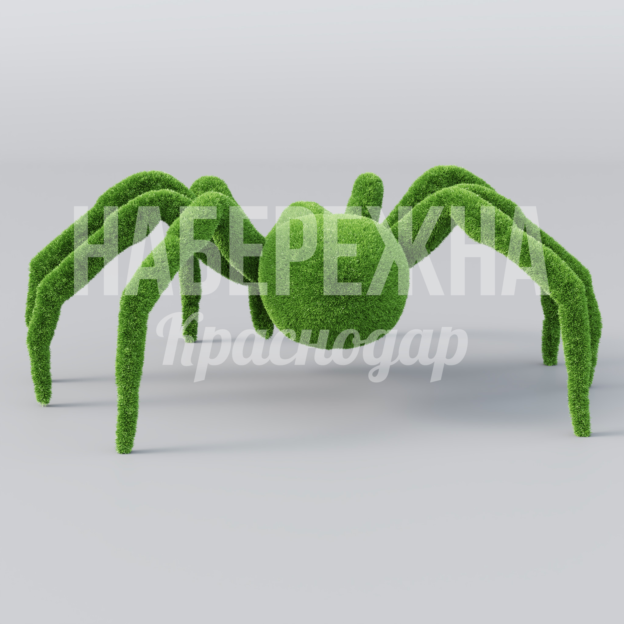 Паук Mokil - фото 3