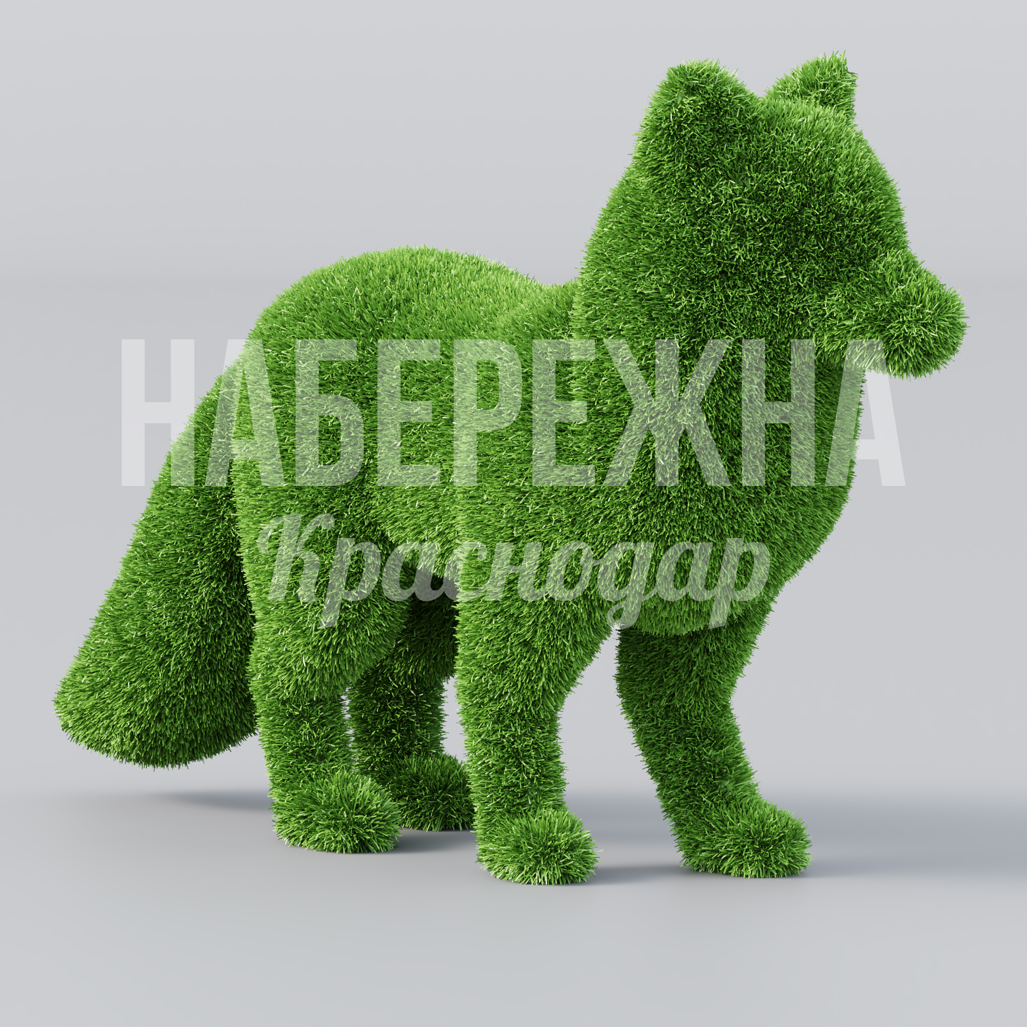 Лиса Göikalsa - фото 1