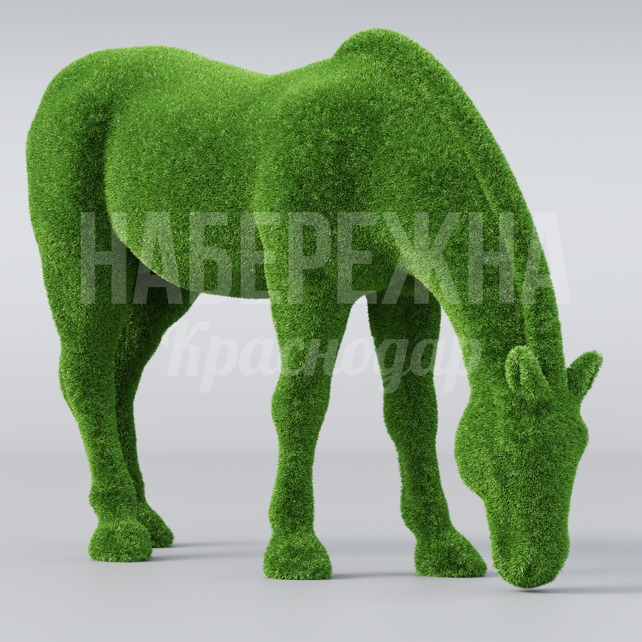 Лошадь Ducec - фото 1