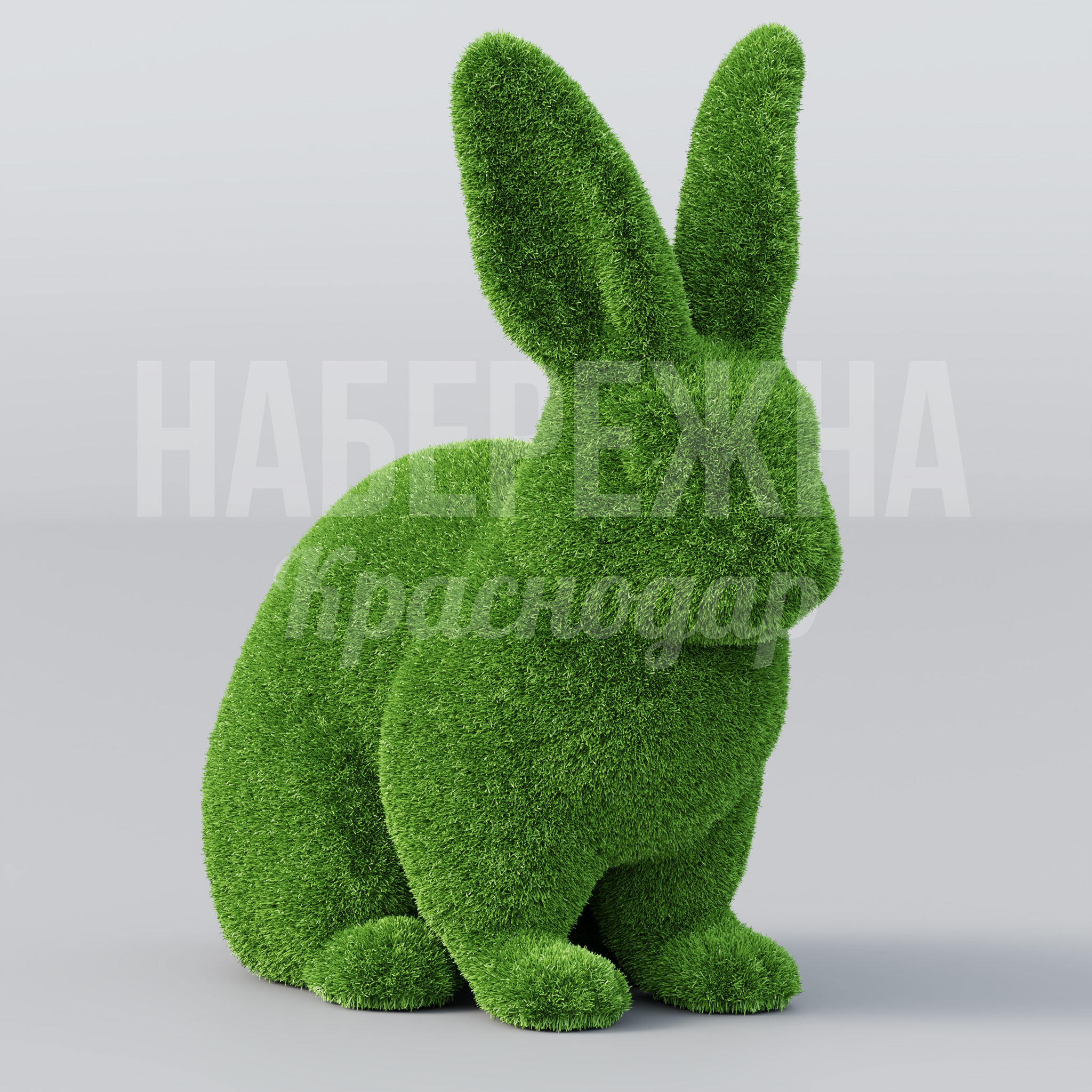 Кролик Yermu - фото 1