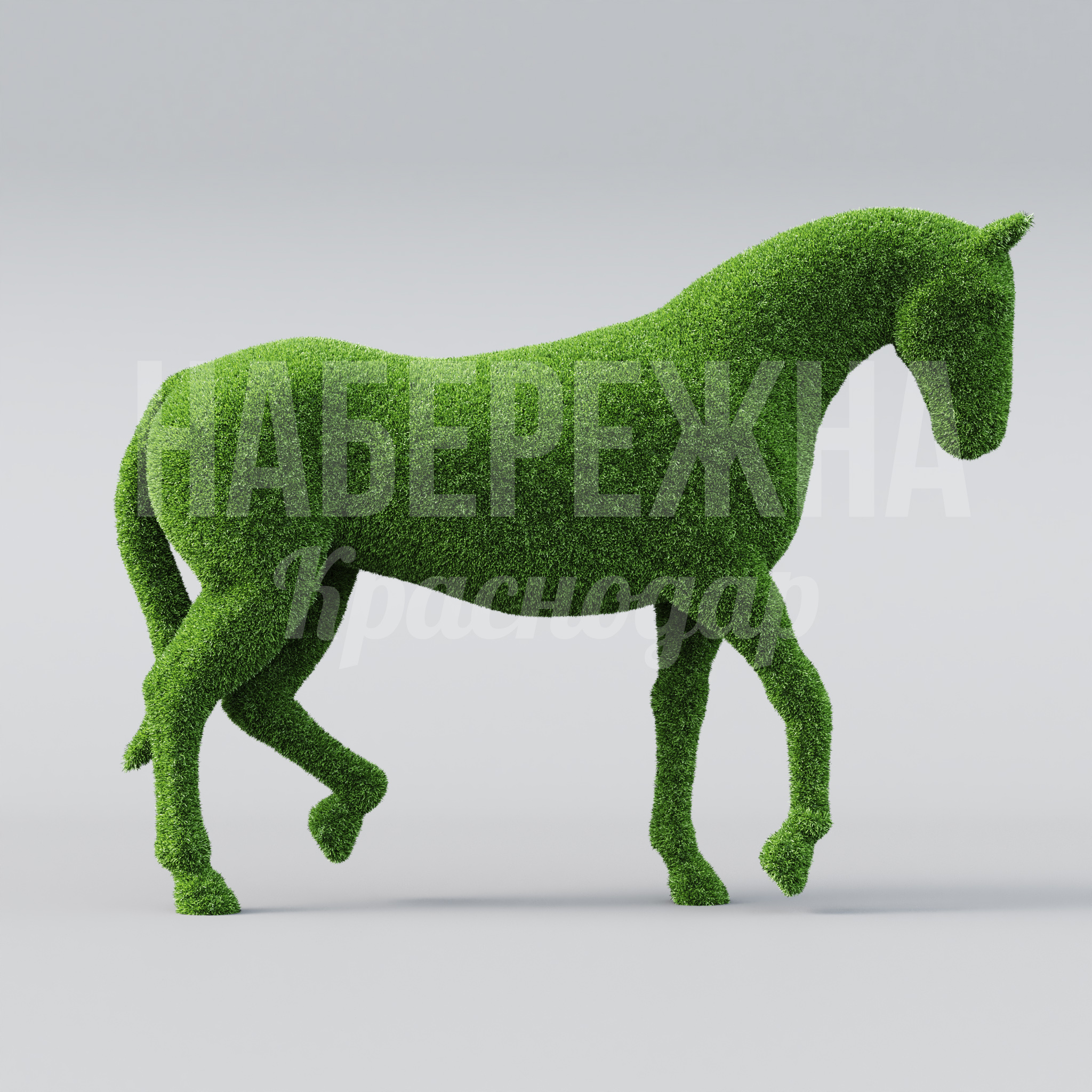 Лошадь Danca - фото 1