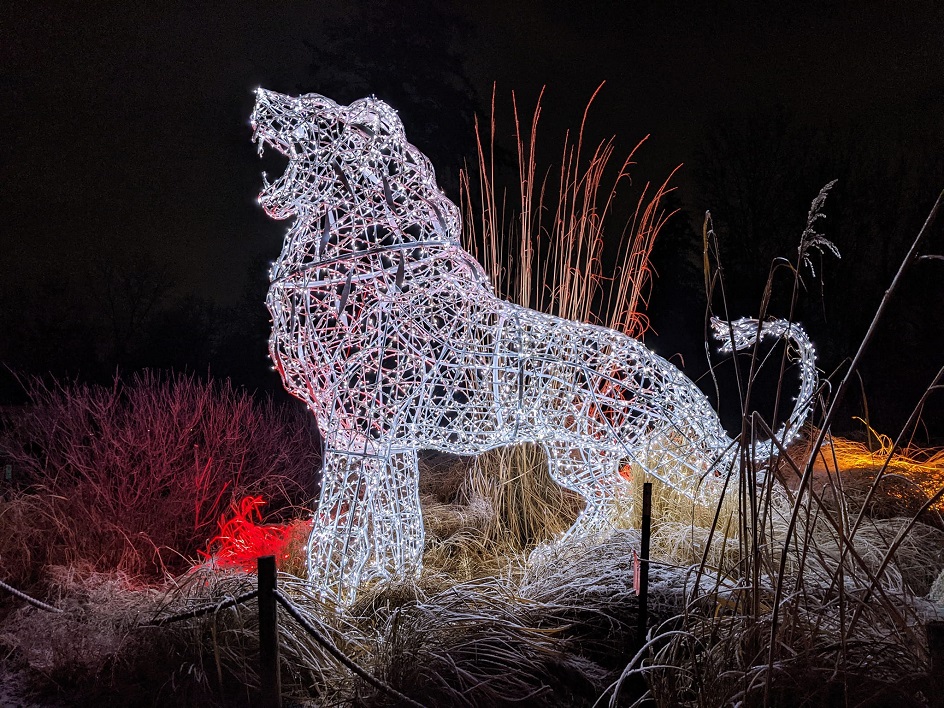 Световые фигуры