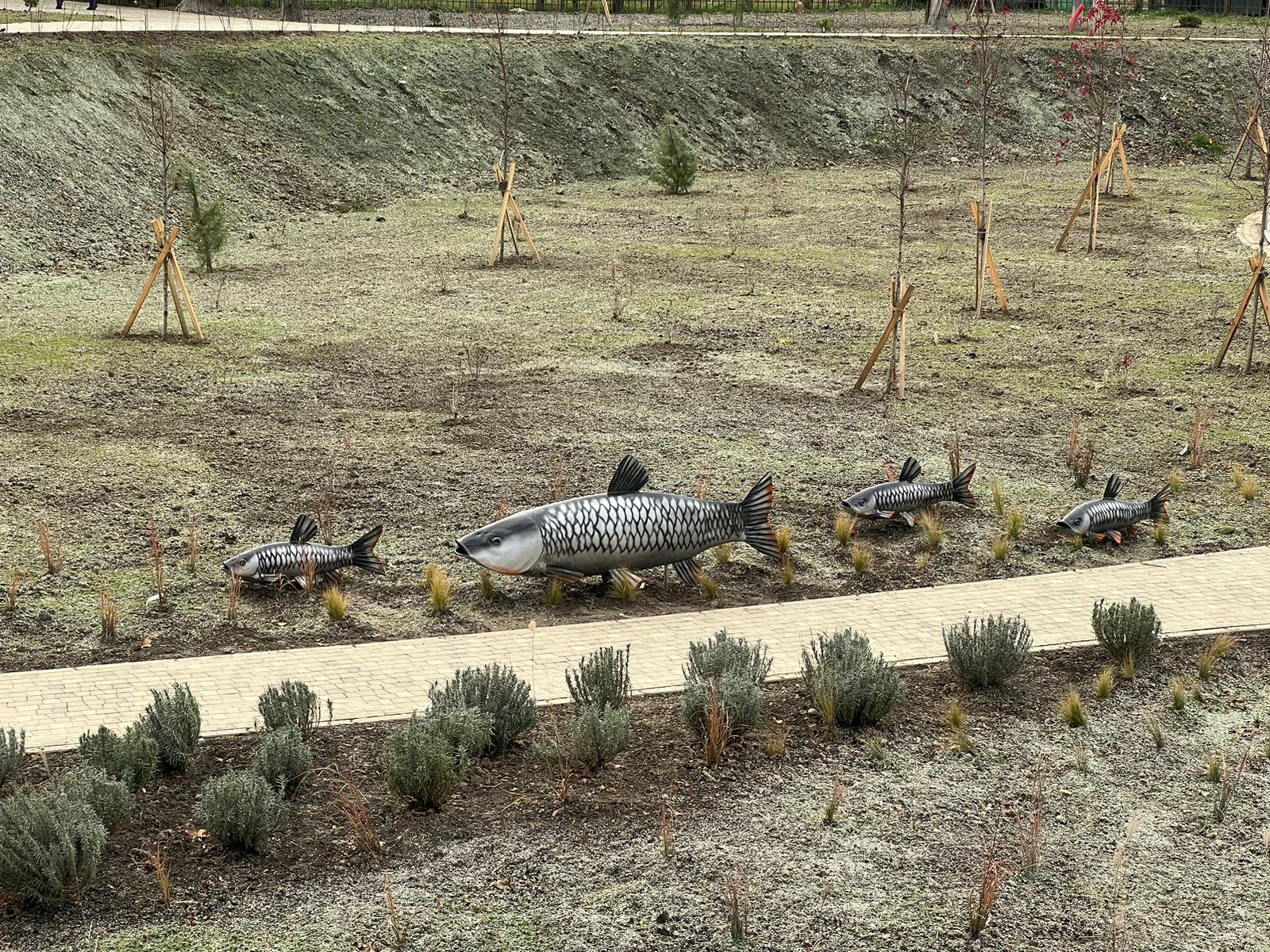 Миниатюра 6