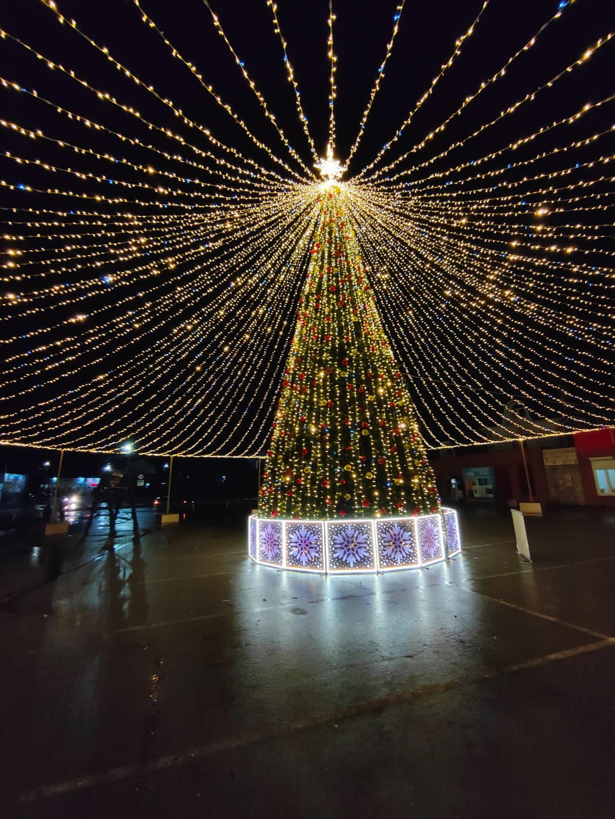 Новый год Новый год - фото 1