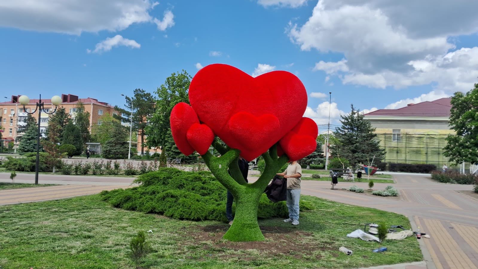 Миниатюра 6