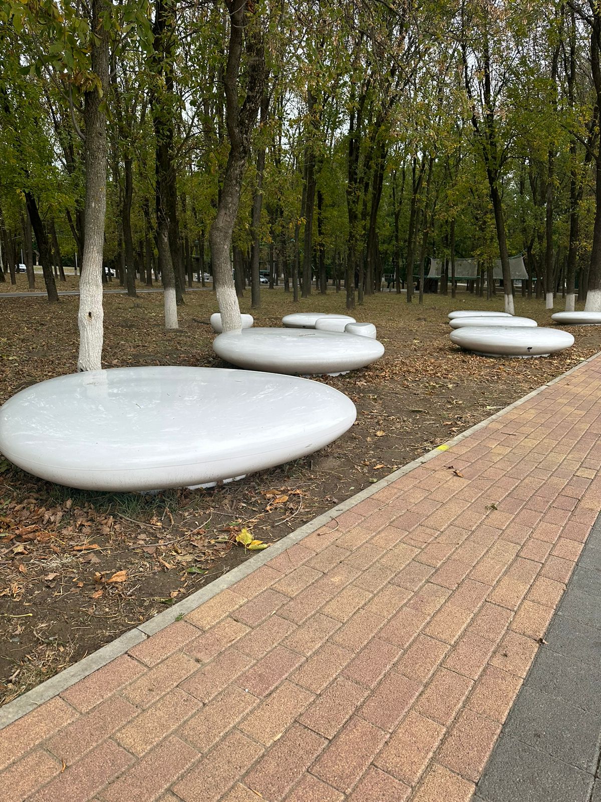 Миниатюра 7