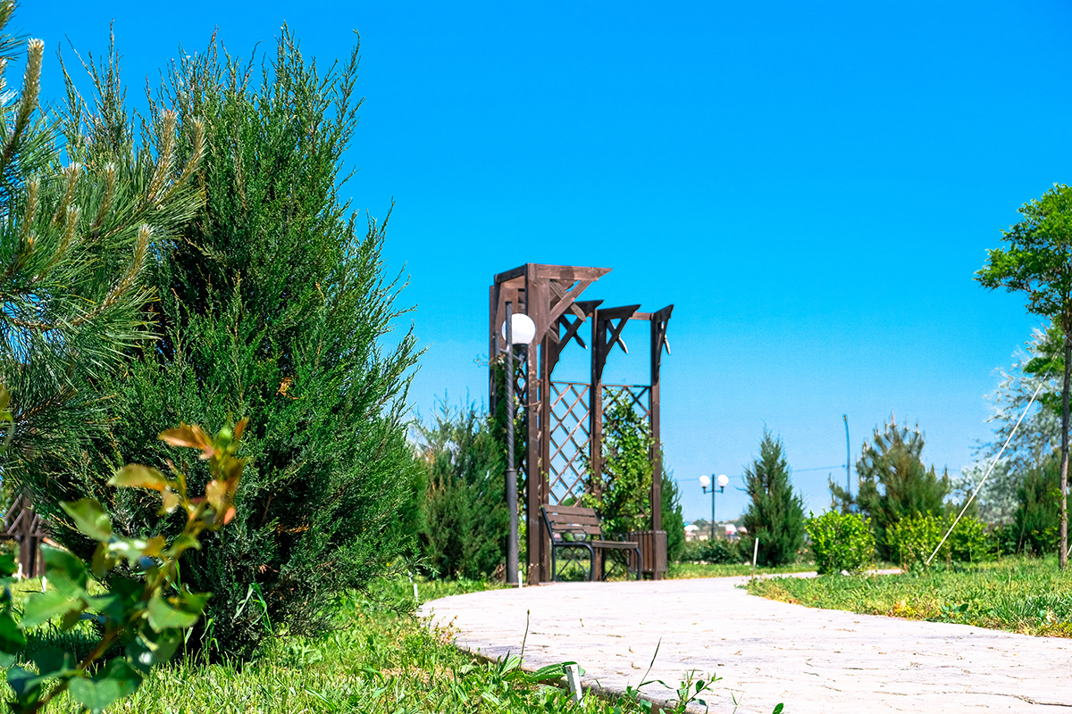 Миниатюра 4